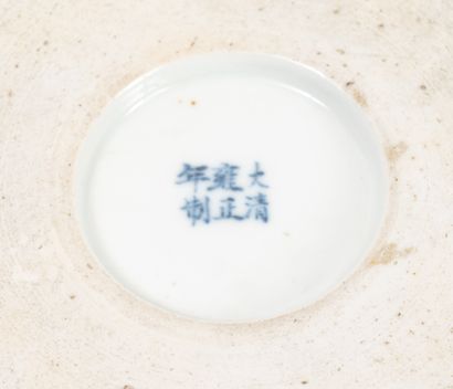 CHINE - XXème siècle Paire de cache-pots en porcelaine décor en bleu sous couverte...