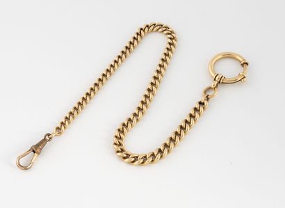 Watch chain in yellow gold (585) with curb...