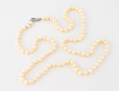 null Long collier de perles de culture blanches. 
Fermoir cliquet cylindrique en...