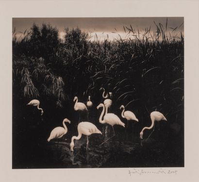 Pentti SAMMALLAHTI (1950) Mount Etjo, Namibia, 2005.
Black and white photographic...