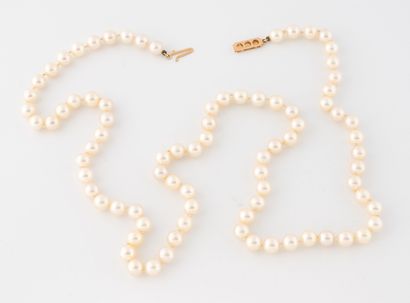 Necklace of white cultured pearls. 
Hook...