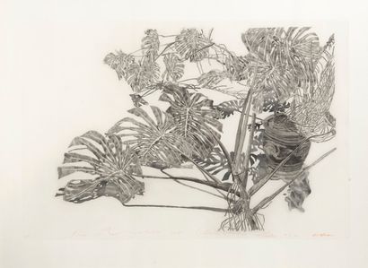 Sam SZAFRAN (1934-2019) Philodendrons, gris, 1995.
Eau-forte sur papier.
Épreuve...