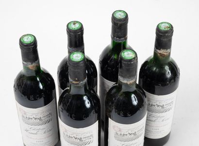 CHÂTEAU DE HAUTE SERRE 6 bouteilles, 1988.
Coteaux de Cahors.
Georges Vigouroux.
Niveaux...