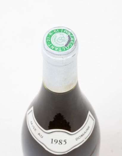 PULIGNY-MONTRACHET 1 bouteille, 1985.
Les Pucelles, 1er cru. Blanc.
Niveau 0,5 cm.
Petits...