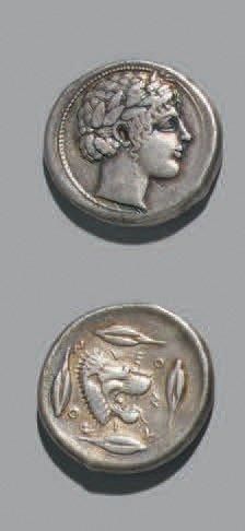 null Léontini (466-425 av. J.-C) Tétradrachme - 17,11 g. Tête laurée d'Apollon à...