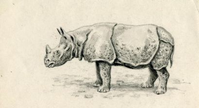 OBERTHÜR (Joseph) Rhinocéros unicorne de l'Inde. Pierre noire originale; 20,5 x 12...