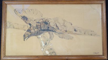 Raymond BIGOT (1872-1953) Rapace. Lavis brun et rehaut de gouache. 53 x 99 cm. Insolé,...