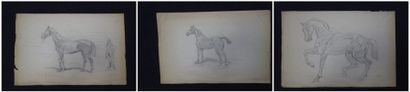 Gustav WERTHEIMER (1847-1904) Chevaux. Suite de trois dessins au crayon, dont un...