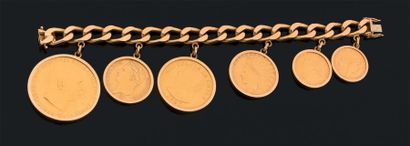 null Bracelet en or jaune (750) à maille gourmette limée, agrémenté de six pendants...