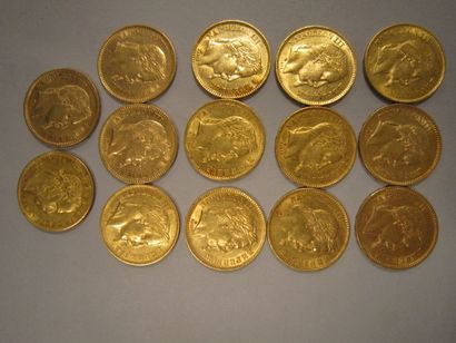 null Lot de 14 Pièces en or:
FRANCE 13 Pièces de 20 francs or, 1861 (x 2), 1863,...