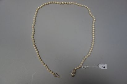null Long collier de perles de culture en légère chute. Fermoir en or gris (750)...