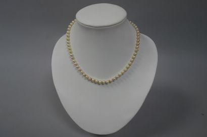 null Collier de perles blanches de culture en chocker. Fermoir en or jaune (750)...