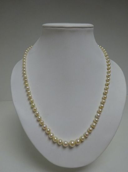 null Collier de perles en chute, fermoir or jaune (750).

Poids brut : 26,1 g - Long....