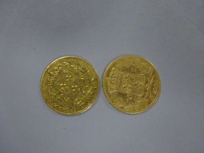 null FRANCE 

2 pièces de 20 francs or, 1819 et 1824.

Poids total : 12,7 g.