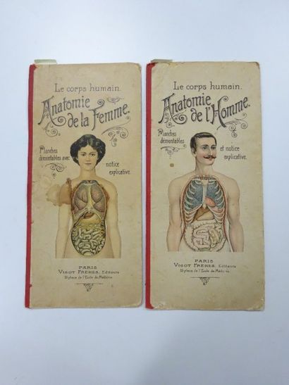 null Lot comprenant deux livrets sur l'anatomie :

"Le corps humain, Anatomie de...