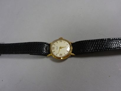 DERMONT Petite montre bracelet de dame, le boîtier rond en or jaune (750), cadran...