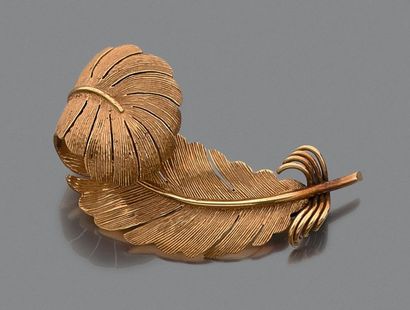 Broche en or jaune (750) en forme de plume...