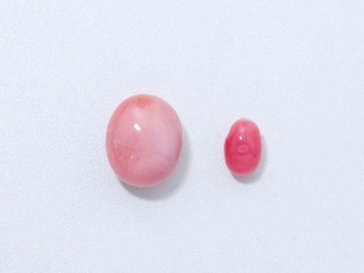 null Perle rose porcelainée de forme ovale, non percée, sur papier.
Poids: 21,66...