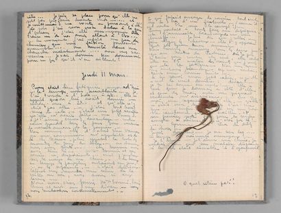 DOMERGUE (Jean Gabriel) Le «Journal» à Pussy 4 Mars 1909 au Mercredi 7 Avril 1909....