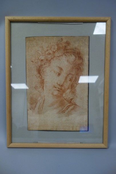 null Ecole française du XVIIIème siècle

Portrait de jeune fille en Flore.

Sanguine...