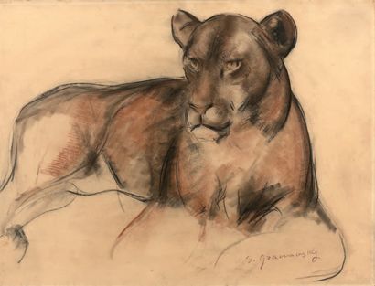 Sam GRANOVSKY (1889 - 1942) Lionne couchée.
Fusain et sanguine sur papier marouflé...