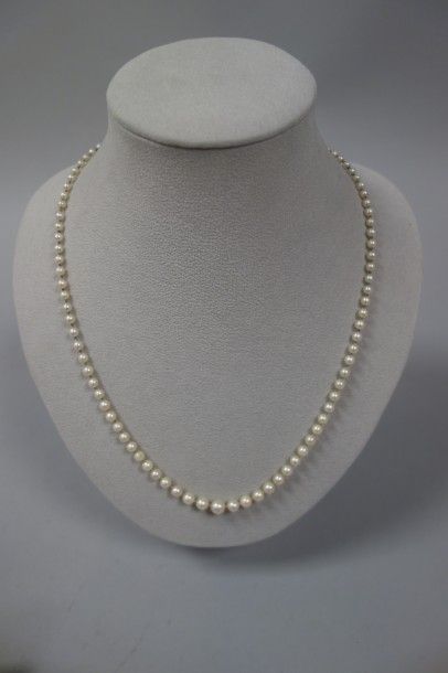 null Collier de perles de cultures blanches en chute. 

Fermoir en or gris (750)....