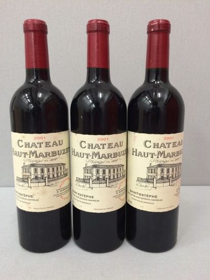 null Château HAUT-MARBUZET

3 bouteilles, 2001.

Bon niveau.

Etiquettes légèrement...