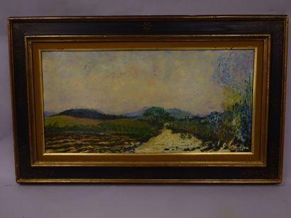 Ramon DILLEY (1932) 

Paysage du côté sud d'Eguilles.

Huile sur toile Signée en...