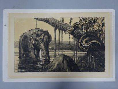 D'après Paul JOUVE (1878-1973) 

Eléphant et python.

Lithographie en noir sur papier.

23...