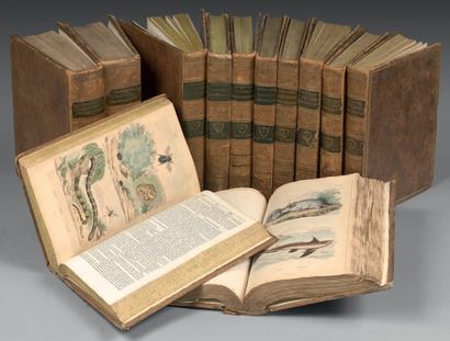 GUÉRIN- MENNEVILLE (F.- Ed.) 
Dictionnaire pittoresque d'Histoire Naturelle et des...