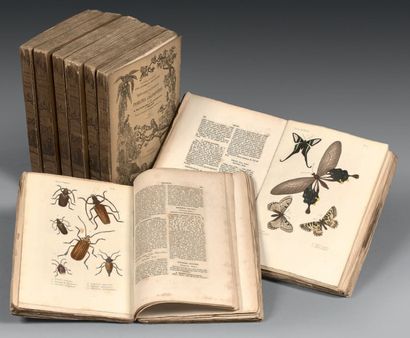 LUCAS-BLANCHARD. 
Histoire Naturelle. Paris, Sté
Bibliophile, 1850; 8 volumes in-8...