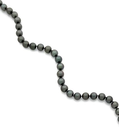 null Beau collier composé de 33 perles de culture grises de Tahiti d'environ 12 à...