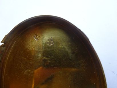 Louis OUIZILLE Tabatière ovale, toutes faces, en ors (750) de plusieurs tons, à décor...