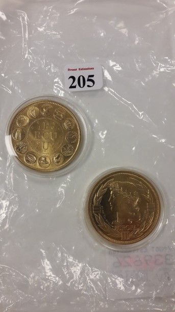 EUROPA Deux pièces en or jaune (750).

Poids total : 100 g.

Usures.
