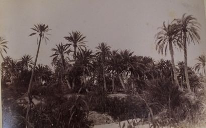 null Album militaire [Tunisie]

C. 1890

Vingt neuf photographies montées sur carton.

Format...
