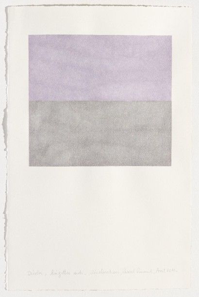 Pascal PINAUD (1964) 

10B02, avril 2010. 

Lingette anti-décoloration sur papier...