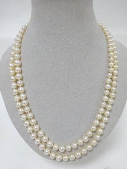 null Collier à deux rangs de perles de culture blanches disposées en légère chute.

Fermoir...