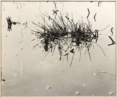 Georges JONIAUX (1932-1987) 

Camargue Inconnue, tiges de riz. 1963.

Tirage photographique...