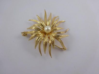 null Broche en or jaune (750) figurant une fleur centrée d'une perle de culture blanche....