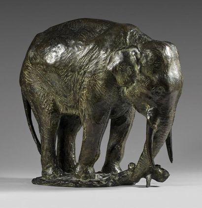 Gustav HIERHOZ (1877-1948) 
Eléphant arrachant une souche.
Epreuve en bronze patiné...