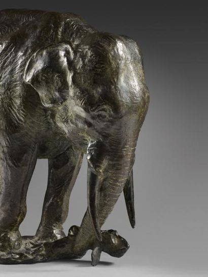 Gustav HIERHOZ (1877-1948) 
Eléphant arrachant une souche.
Epreuve en bronze patiné...