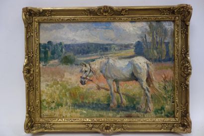 Raymond Louis LECOURT (1882-1946) 

Cheval blanc au piquet, au près. 1916.

Huile...