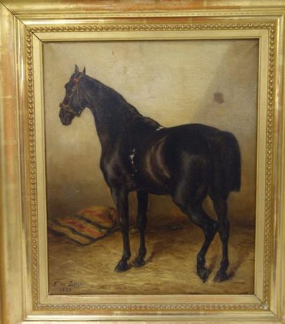 F. de LESSER (XIXème-XXème siècle) 

Cheval noir au box. 1873.

Huile sur toile.

Signée...