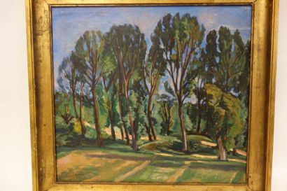 Jean LABASQUE (1902-c.1983) 

Paysage. 

Huile sur toile. 

Signée en bas à gauche....