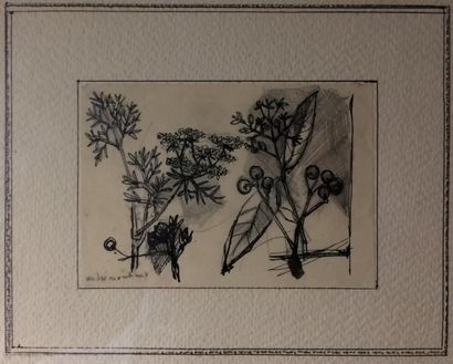 André MARCHAND (1907-1997) 

Les petites fleurs

Mine de plomb et encre sur papier.

Signé...