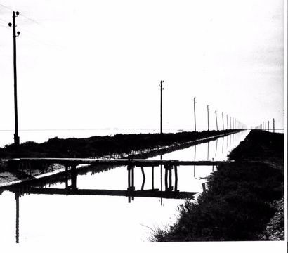 Georges JONIAUX (1932-1987) 

Deux tirages photographiques en noir et blanc.

- Camargue...