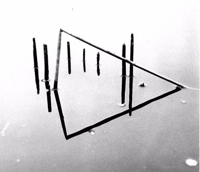 Georges JONIAUX (1932-1987) 

"Reflets de roseaux".

Trois tirages photographiques...