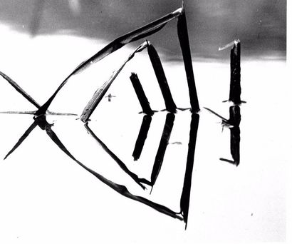 Georges JONIAUX (1932-1987) 

"Reflets de roseaux".

Trois tirages photographiques...