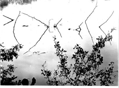 Georges JONIAUX (1932-1987) 

Sologne.

Tirage photographique en noir et blanc.

Signé,...