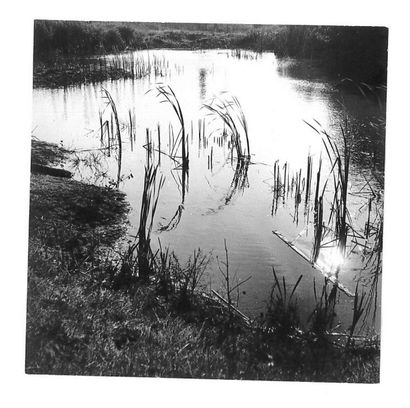 Georges JONIAUX (1932-1987) 

Sologne.

Tirage photographique en noir et blanc sur...